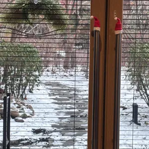 커피스니퍼 리뷰 사진