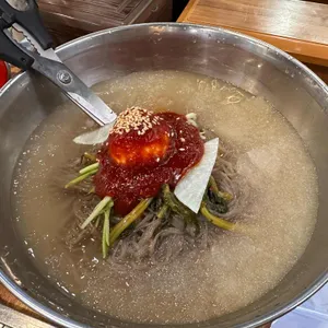 은행나무갈매기 사진