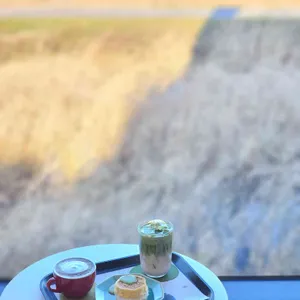 차전자 대표 사진