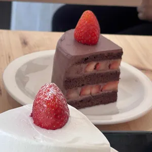 데이오프데이 사진 1