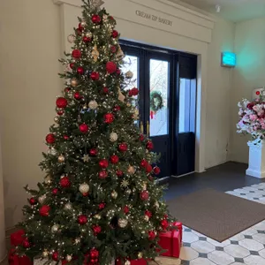 크림집 리뷰 사진