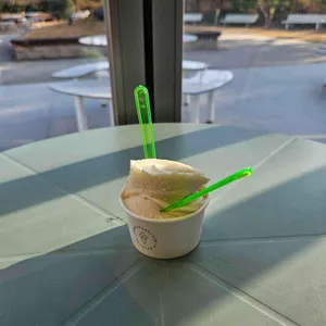 순두부젤라또 사진