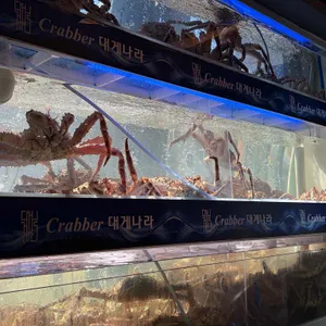 크래버대게나라 대표 사진