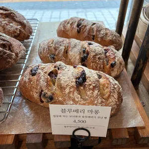 쿠아레비 리뷰 사진