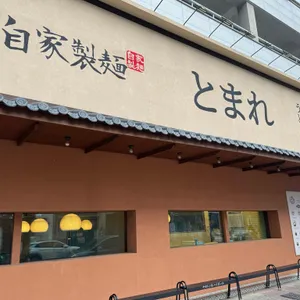 토마레제면소 리뷰 사진