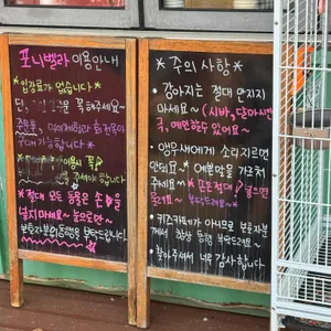 포니벨라 리뷰 사진