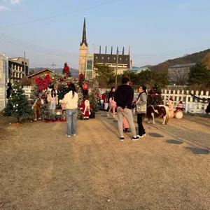 포니벨라 리뷰 사진