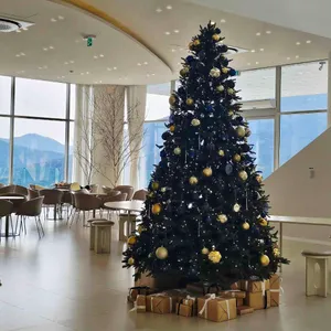 모이핀 리뷰 사진