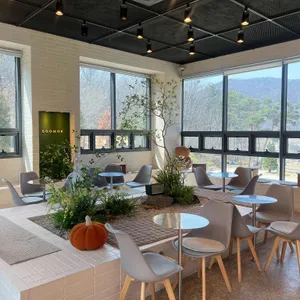 카페 수목 리뷰 사진