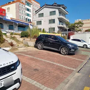 코다리각시 리뷰 사진