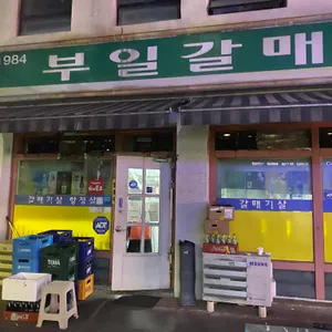 부일갈매기 리뷰 사진