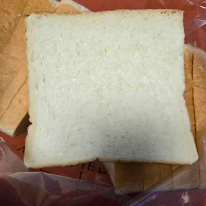 화이트리에 사진