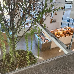 하이드파크 리뷰 사진