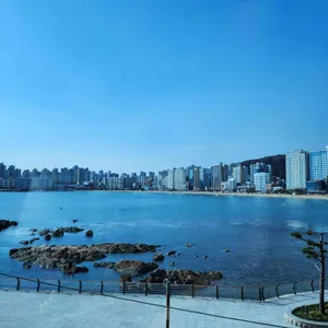 로얄경양식&스테이크 리뷰 사진