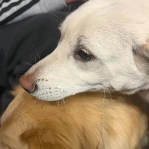 카페 휴 리뷰 사진