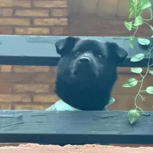 카페 휴 리뷰 사진