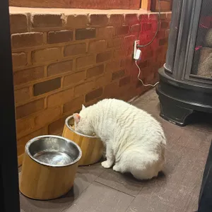 카페 휴 리뷰 사진