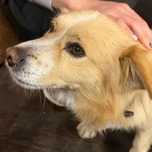 카페 휴 리뷰 사진