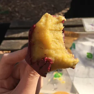 감자밭 대표 사진