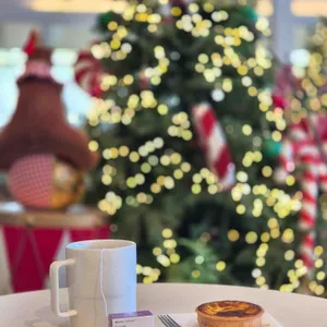 마고 포레스트 대표 사진