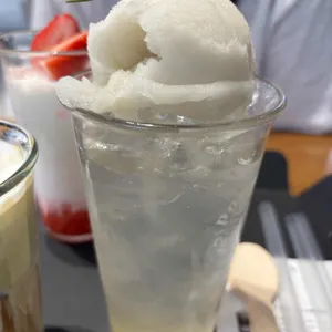 포이드캐롯 사진