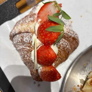 포이드캐롯 사진