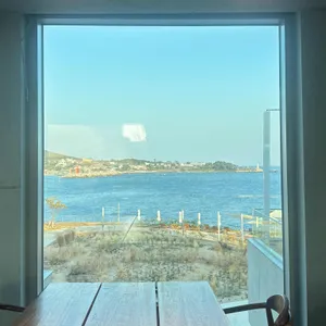 도우트리 리뷰 사진