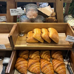 곤트란쉐리에 대표 사진