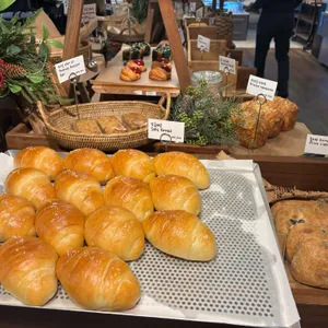 곤트란쉐리에 사진