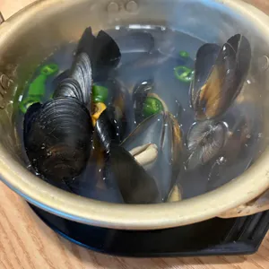 해초과메기 사진