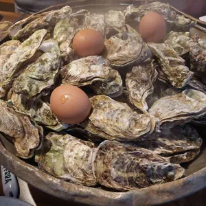 군들 대표 사진