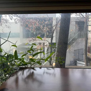 한옥카페 소원 리뷰 사진