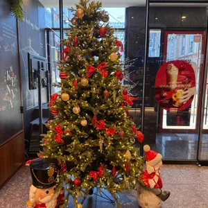 파스쿠찌 대표 사진