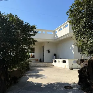 위이 리뷰 사진