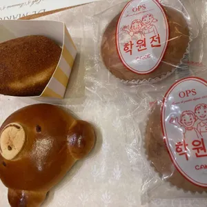 옵스 대표 사진