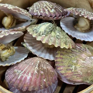 장씨해녀집 대표 사진