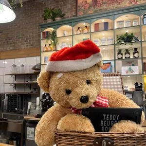 테디뵈르하우스 리뷰 사진