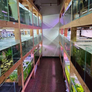 팀아쿠아 리뷰 사진