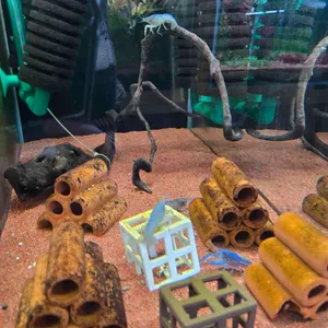 팀아쿠아 대표 사진