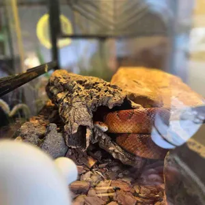 카페 베타 현 사진