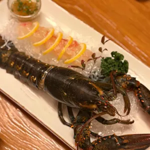 본참치 리뷰 사진