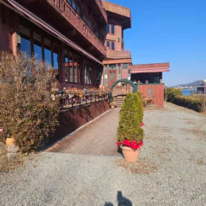 왈츠와닥터만 리뷰 사진