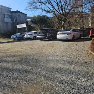 왈츠와닥터만 리뷰 사진