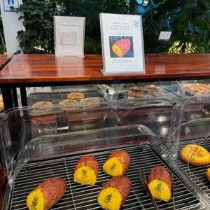 하패리 61 리뷰 사진