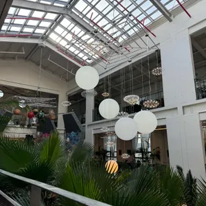 하패리 61 리뷰 사진