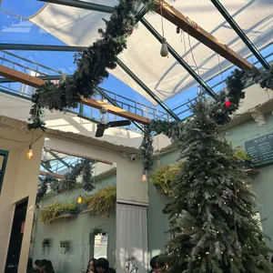 컵오브조이 리뷰 사진