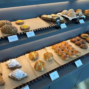 소노펠리체 비발디파크 더엠브로시아 리뷰 사진