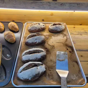 이안에들꽃 대표 사진