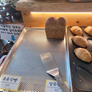 이안에들꽃 사진