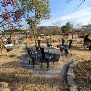 이안에들꽃 리뷰 사진